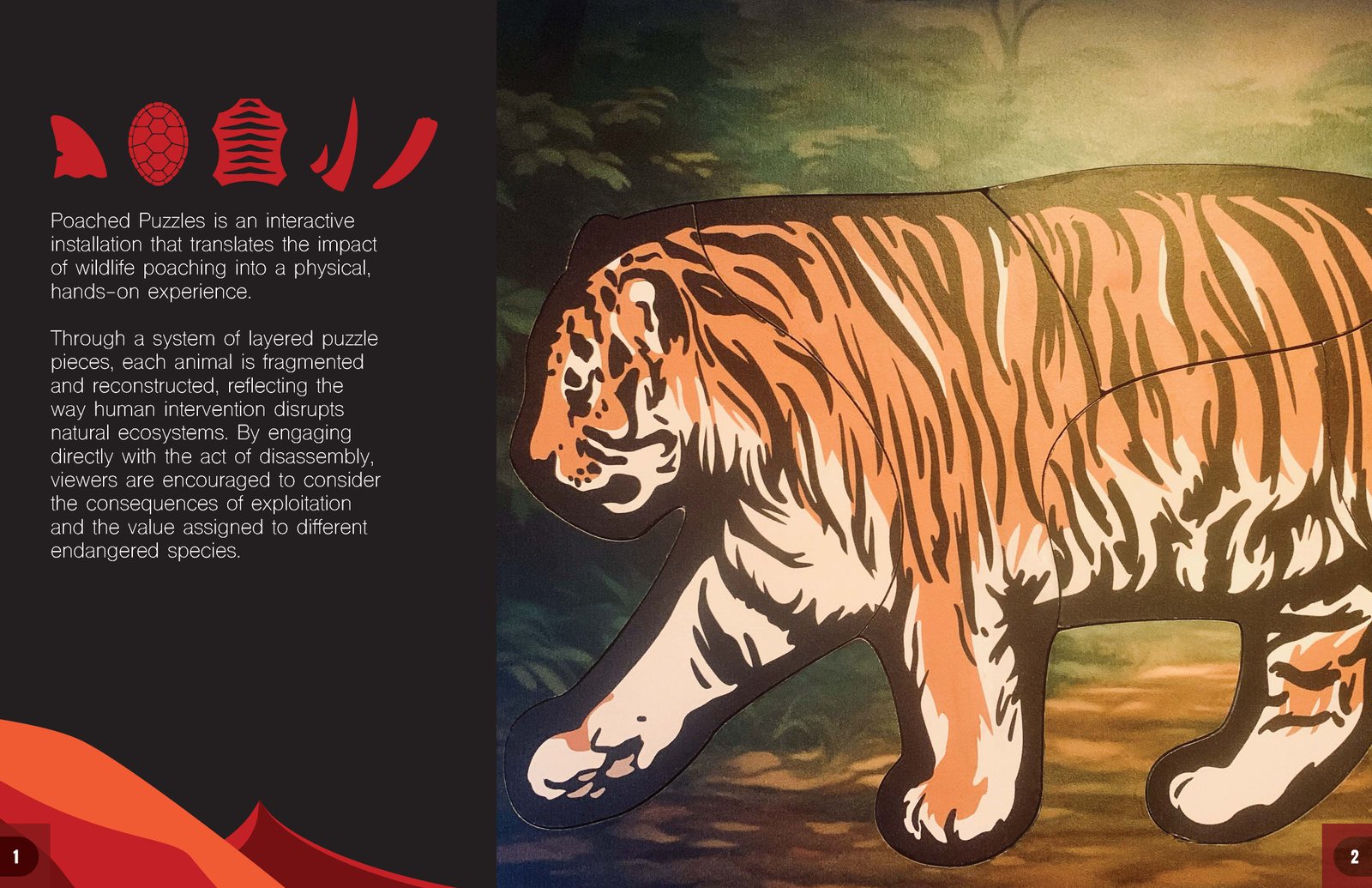 Introductory spread presenting the modular interaction system, and wildlife conservation focus of the installation